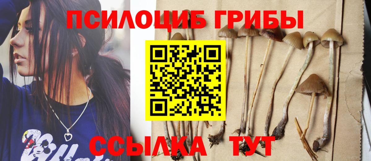 Галлюциногенные грибы Psilocybe Чайковский