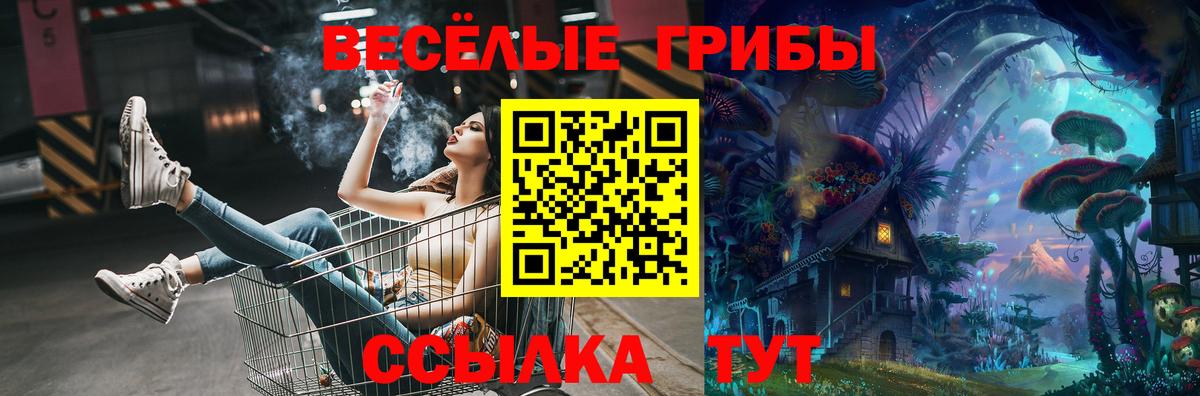 Галлюциногенные грибы мухоморы  Галлюциногенные грибы Psilocybe  Чайковский  Вход с VPN 